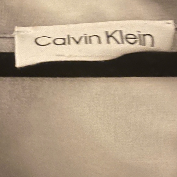 Calvin Klein Silky Top with Sheer Sleeves, Ruffles, Metal Buttons - so elegant! - Picture 7 of 8